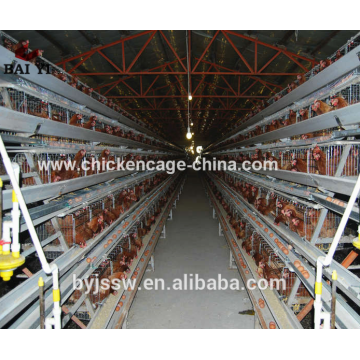 New Design Chicken Transport Cages with Best Price